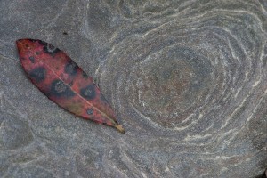 ABS-piedra-y-hoja