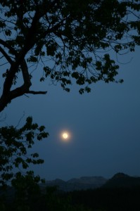 LUNA-LLENA-USANSOLO