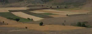 PAISAJE-CUADRO